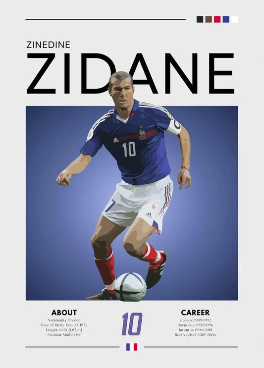 Zinedine Zidane (France)